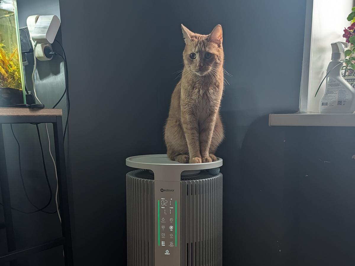 Обзор климатического комплекса Neatsvor Air 30: эффективный очиститель воздуха с функциями для владельцев кошек