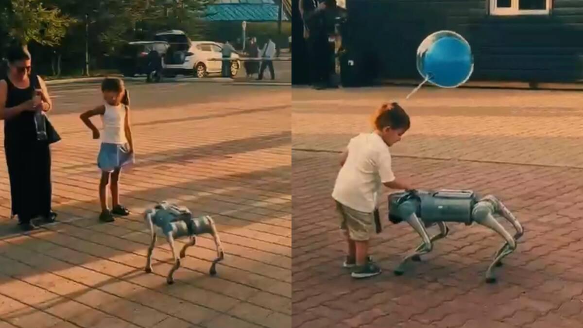 robosob_large.jpeg