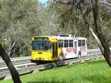Почему почти 40 лет O-Bahn Busway считается одной из самых необычных транспортных систем в мире