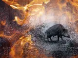 Тайны и мрак: 10 мистических сериалов из России, с высоким рейтингом на Кинопоиске