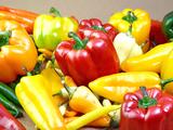 Почему болгарский перец на самом деле не болгарский (еще и не перец)