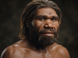 Ученые показали лицо первого представителя нашего вида: как выглядел Homo sapiens 300 тысяч лет назад