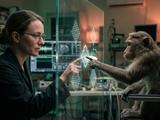 Игра «найди лишнее» помогла ученым увидеть мир глазами обезьян — и он оказался совсем не похож на наш