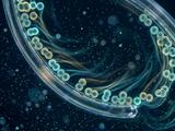 Как простые микрочастицы начинают имитировать жизнь: физики поймали момент перехода от химии к биологии