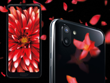 Sharp Aquos R2 получил отдельную камеру для видеозаписи и степень защиты IP68