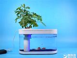 Представлен необычный аквариум Xiaomi Fish Tank