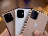От самого большого до самого маленького: всю серию iPhone 12 сравнили между собой и с iPhone 11