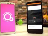 Google сама не может доделать Fuchsia и теперь просит помощи у разработчиков