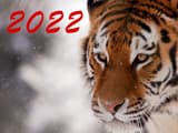С Новым, 2022 годом!