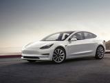 Tesla пробирается по затопленному шоссе: видео из салона авто