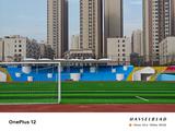 На что в реальности способна новейшая камера Hasselblad в OnePlus 12? Много реальных, а не рекламных фото