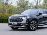 На ступень выше Haval. В России появятся два новых автомобильных бренда — Ora и Wey
