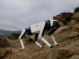 Роботы уже подешевели до уровня смартфонов: представлен Rover X1 за 1000 долларов