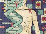 «Добро пожаловать в Nucleus Embryo». В США запустили «редактор» будущего ребёнка — родители могут задать желаемые цвет глаз, волос, рост и пол 