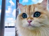 Первый в истории смартфон с гибридной системой воздушно-водяного охлаждения «способен делать потрясающие снимки». Появились эффектные фото с камеры RedMagic 11 Pro+