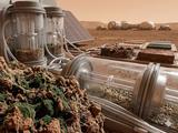 Лишайникоподобные микробы превратили марсианский грунт в строительный материал без внешнего питания