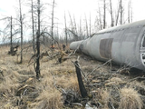 Упавшие после запуска с Восточного обломки ракеты «Союз-2.1б» показали на фото