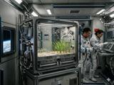 Китайская орбитальная теплица: на станции «Тяньгун» выращивают рис для будущих миссий на Луну и Марс