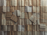 Илон Маск запретил уничтожать редкие книги ради обучения ИИ: оригиналы будут сохранять