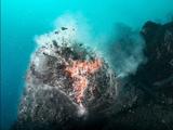 Учёные впервые поймали момент разлома океанической коры и её заполнения магмой