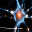 Обзор программы для нейровизуального обучения Невио