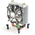 Titan Skalli (TTC-NC05TZ/NPW(RB))