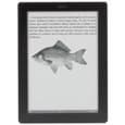 Onyx Boox M91S Odysseus: