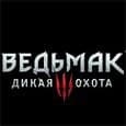Тестирование в игре The Witcher 3: Wild Hunt на двух бюджетных платформах: