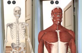 Приложения дополненной реальности для iPad: