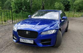 Тестирование Jaguar XF R-Sport (модельного ряда 2019 года):