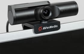 Веб-камера AverMedia PW513: