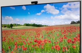 Умный экран Huawei Vision S (HD55KAN9A):