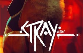 Что умеют современные видеокарты в современных играх: Stray.