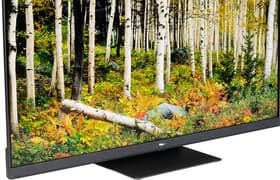 Телевизор Hisense 55U8HQ: