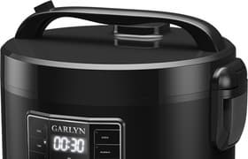 Мультиварка Garlyn MR-Solo 11: