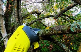 Аккумуляторный штанговый высоторез Ryobi OPP1820: