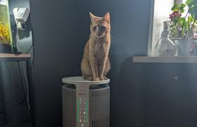 Очиститель воздуха Neatsvor Air 30: