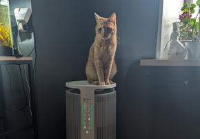 Очиститель воздуха Neatsvor Air 30: