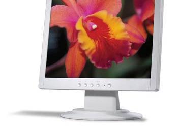 Новые17-дюймовые ЖК мониторы от Acer  AL1713 и AL1713m  в России
