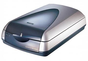 Новинки EPSON на российском рынке  Perfection 4870 Photo, Stylus Photo R200, Stylus Photo R800 и Stylus Photo RX600