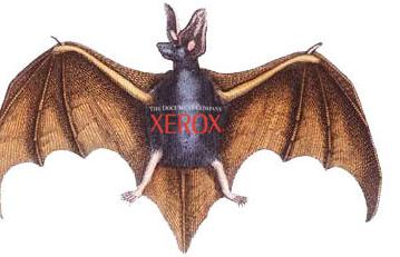 Letun (MegaMouse) 31240  эксклюзивный продукт Xerox из новой линейки &laquo;Офис будущего&raquo; сегодня в России