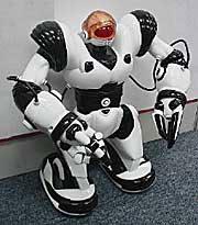 Robosapien: робот в магазинах торговой сети &laquo;БЕЛЫЙ ВЕТЕР&raquo;