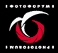 &laquo;Фотофорум-2005&raquo;: итоги конкурса &laquo;Продукт года&raquo;