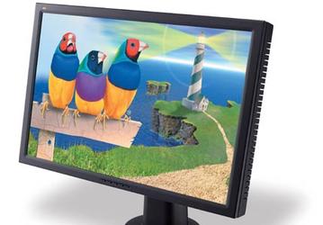 Широкоэкранный 23-дюймовый ЖК-монитор ViewSonic VP231wb: в продаже