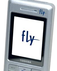 GSM-моноблок TS 2060 — совместное детище Fly и Toshiba