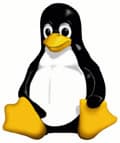 Москва готовится принять посетителей страны  Linux