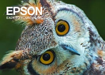 «Моя любимая фотография»: традиционный фотоконкурс Epson открыт! 