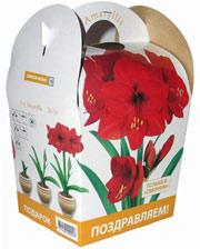 Покупатели телефонов Samsung La Fleur смогут попробовать себя в цветоводстве