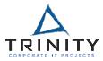 Trinity приглашает на семинар в Санкт-Петербурге