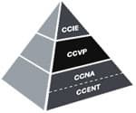 Cisco обновляет программу сертификации специалистов CCVP